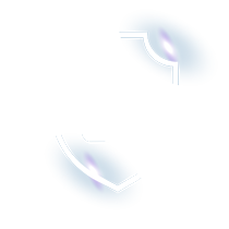 INTELLIGENT SECURITY SYSTEMS