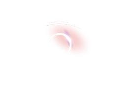 OUR VISION
